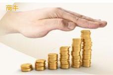 苏州鑫威投资管理咨询服务价格信息详解——商牛网为您解析