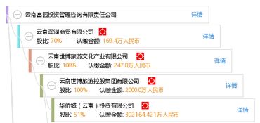 云南富园投资管理咨询有限责任公司 专业投资管理与咨询服务解析